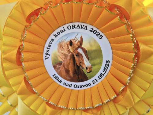 509600316_1248333100089975_2895695725200751354_n